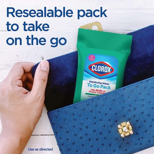 Clorox Disinfecting On The Go Travel Wipes Pack of 24 (Package May Vary)